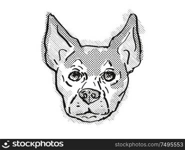 Retro cartoon style drawing of head of a Chihuahua, a domestic dog or canine breed on isolated white background done in black and white.. Chihuahua Dog Breed Cartoon Retro Drawing