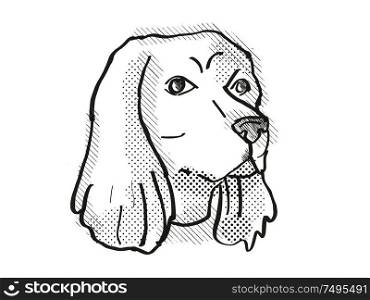 Retro cartoon style drawing of head of a Cocker Spaniel , a domestic dog or canine breed on isolated white background done in black and white.. Cocker Spaniel Dog Breed Cartoon Retro Drawing