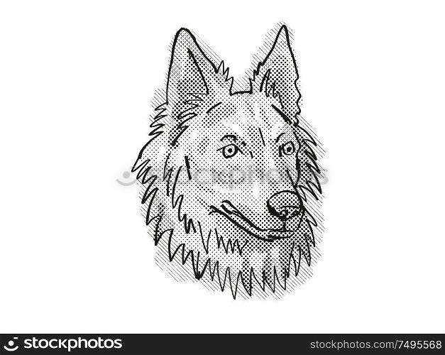 Retro cartoon style drawing of head of a Dutch Shepherd, a domestic dog or canine breed on isolated white background done in black and white.
