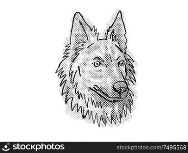 Retro cartoon style drawing of head of a Dutch Shepherd, a domestic dog or canine breed on isolated white background done in black and white.