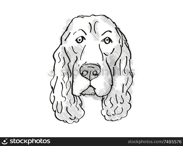 Retro cartoon style drawing of head of a Field Spaniel, a domestic dog or canine breed on isolated white background done in black and white.. Field Spaniel Dog Breed Cartoon Retro Drawing