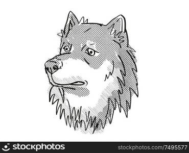 Retro cartoon style drawing of head of a Finnish Lapphund, a domestic dog or canine breed on isolated white background done in black and white.. Finnish Lapphund Dog Breed Cartoon Retro Drawing