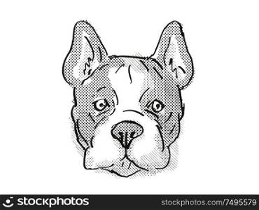 Retro cartoon style drawing of head of a French Bulldog, a domestic dog or canine breed on isolated white background done in black and white.. French Bulldog Dog Breed Cartoon Retro Drawing