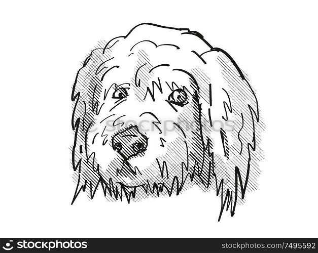 Retro cartoon style drawing of head of a Goldendoodle, a domestic dog or canine breed on isolated white background done in black and white.. Goldendoodle Dog Breed Cartoon Retro Drawing