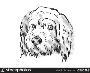 Retro cartoon style drawing of head of a Goldendoodle, a domestic dog or canine breed on isolated white background done in black and white.. Goldendoodle Dog Breed Cartoon Retro Drawing