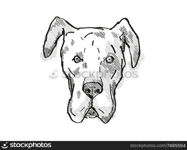 Retro cartoon style drawing of head of a Great Dane, a domestic dog or canine breed on isolated white background done in black and white.. Great Dane Dog Breed Cartoon Retro Drawing