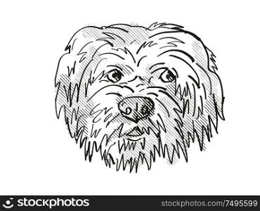 Retro cartoon style drawing of head of a Havanese dog, a domestic canine breed on isolated white background done in black and white.. Havanese Dog Breed Cartoon Retro Drawing