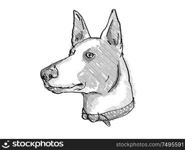 Retro cartoon style drawing of head of a Ibizan Hound, a domestic dog or canine breed on isolated white background done in black and white.. Ibizan Hound Dog Breed Cartoon Retro Drawing
