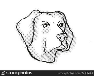 Retro cartoon style drawing of head of a Labrador Retriever , a domestic dog or canine breed on isolated white background done in black and white.. Labrador Retriever Dog Breed Cartoon Retro Drawing