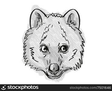 Retro cartoon style drawing of head of a Quokka, a small marsupial found in south-west of Australia and an endangered wildlife species on isolated white background done in black and white.. Quokka Endangered Wildlife Cartoon Retro Drawing