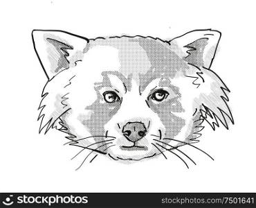 Retro cartoon style drawing of head of a Red Panda, a cat-sized species of carnivorous mammal and an endangered wildlife species on isolated white background done in black and white.. Red Panda Endangered Wildlife Cartoon Retro Drawing