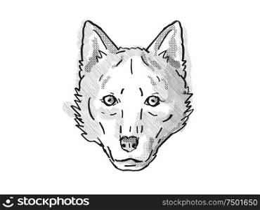 Retro cartoon style drawing of head of a Red Wolf , an endangered wildlife species on isolated white background done in black and white.. Red Wolf Endangered Wildlife Cartoon Retro Drawing