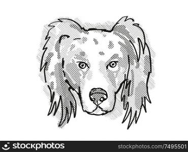 Retro cartoon style drawing of head of an Australian Shepherd dog , a domestic dog or canine breed on isolated white background done in black and white.. Australian Shepherd Dog Breed Cartoon Retro Drawing