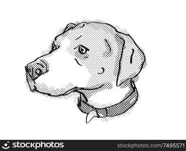 Retro cartoon style drawing of head of an English Foxhound, a domestic dog or canine breed on isolated white background done in black and white.. English Foxhound Dog Breed Cartoon Retro Drawing