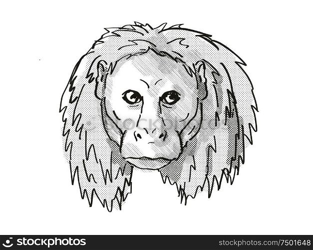 Retro cartoon style drawing of head of an Uakari, a small species of monkey, native to South America and an endangered wildlife species on isolated white background done in black and white.. Uakari Endangered Wildlife Cartoon Retro Drawing