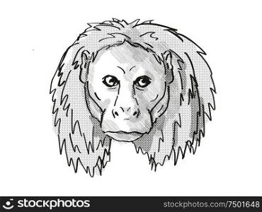 Retro cartoon style drawing of head of an Uakari, a small species of monkey, native to South America and an endangered wildlife species on isolated white background done in black and white.. Uakari Endangered Wildlife Cartoon Retro Drawing