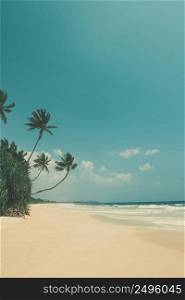Retro color stylized empty tropical beach with palm trees