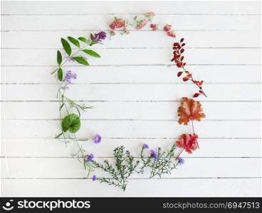 Retro floral frame on white wood background.. Retro floral frame on white wood background
