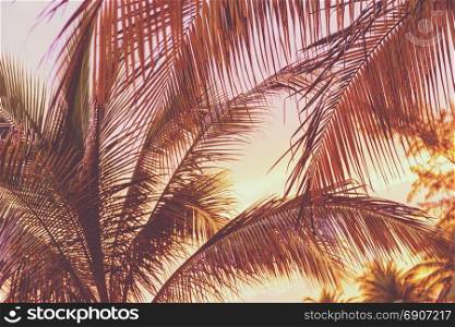 Retro holiday scene of a sunset on tropical beach palm trees