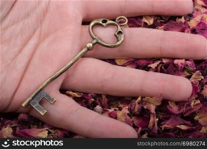 Retro key in hand on background of dried rose petals