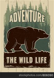Retro poster with picture of wild bear. Vector bear wild and green forest poster, adventure wildlife illustration. Retro poster with picture of wild bear