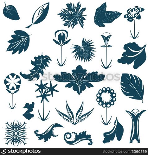 Retro set, flowers, leaves and ornaments isolated on white background, web design illustration