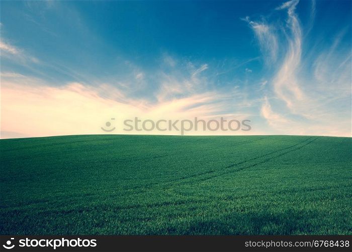 Retro style photo of green grass over blue sky background