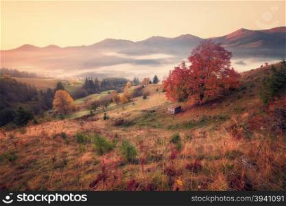 Retro style photo of mountain hills at misty autumn morning