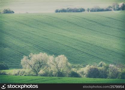 Retro style photo of rolling hills and green grass fields