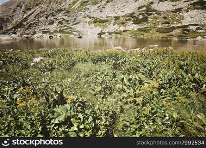 Retro style photo of summer alpine mountain lake