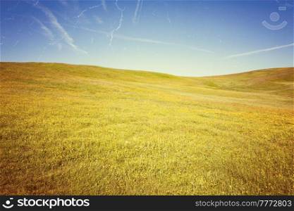 Retro style photo of summer meadow
