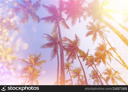 Retro stylized tropical palms with light leaks and golden party glitter