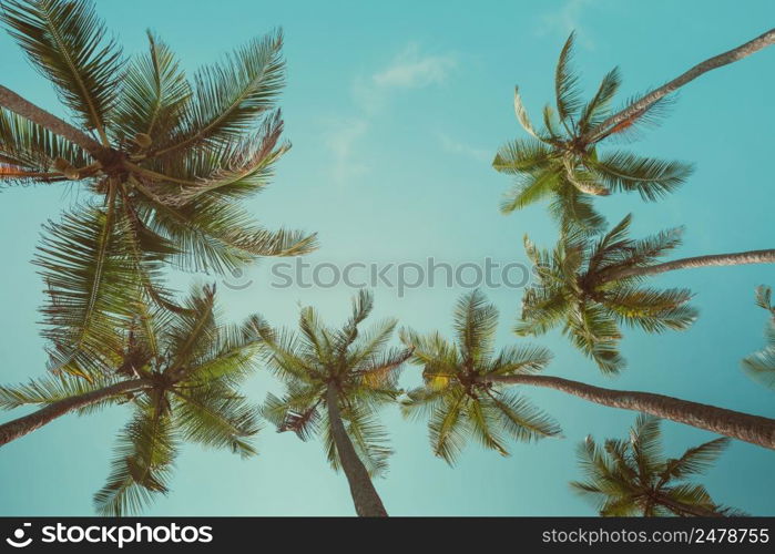 Retro toned palm trees with sky as copy space