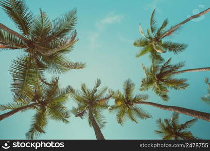 Retro toned palm trees with sky as copy space