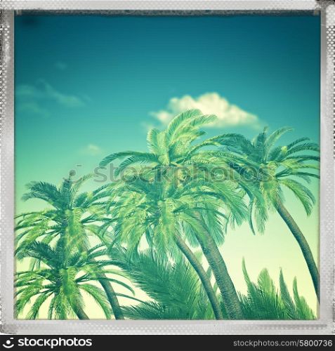 Retro view. Summer trip backgrounds with palm tree