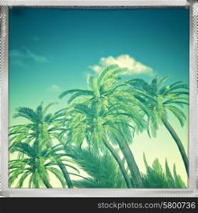 Retro view. Summer trip backgrounds with palm tree