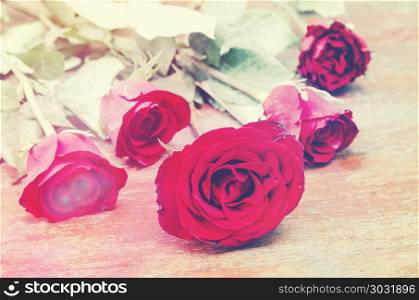 retro vintage rose background for valentine day
