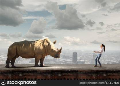 Rhino on lead. Young woman in casual holding rhino on lead