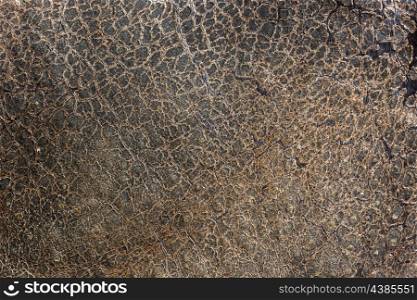 rhinoceros leather texture