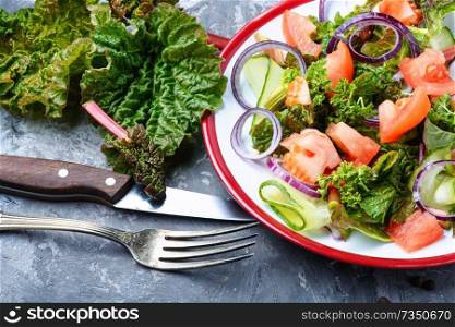 Rhubarb salad.Spring salad.Vegetables salad in salad bowl.Healthy food. Spring vegetable salad