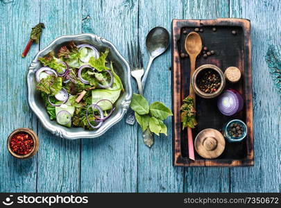 Rhubarb salad.Spring salad.Vegetables salad in salad bowl.Healthy food. Spring vegetable salad