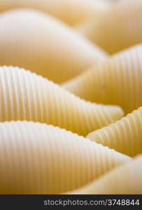 ribbed dry yellow macaroni with seriated line