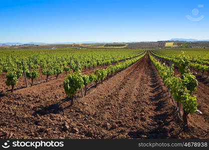 Ribera del Guadiana vineyards in Extremadura of Spain