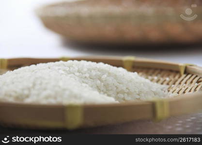 Rice