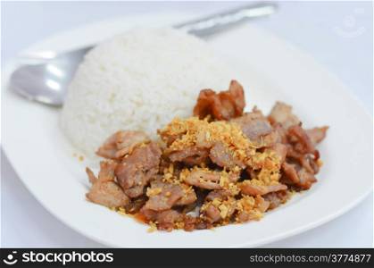 rice and fried pork with fried garlic on white plate