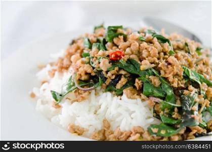 Rice and minced pork fried with chilli pepper and sweet basil