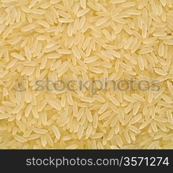 rice closeup
