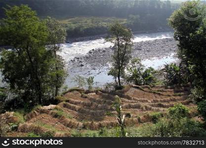 Rice field and mountain river in Nepal