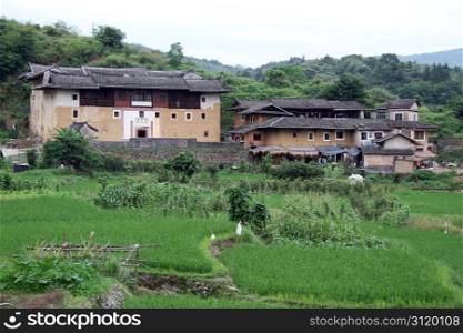 Rice field and tulou in chinese village, China