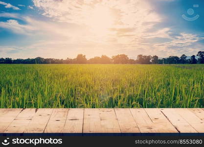 Rice field and wood table background with space display for product